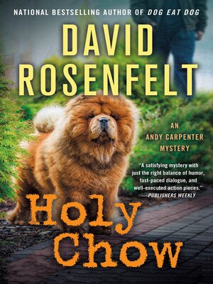 cover image of Holy Chow--An Andy Carpenter Mystery